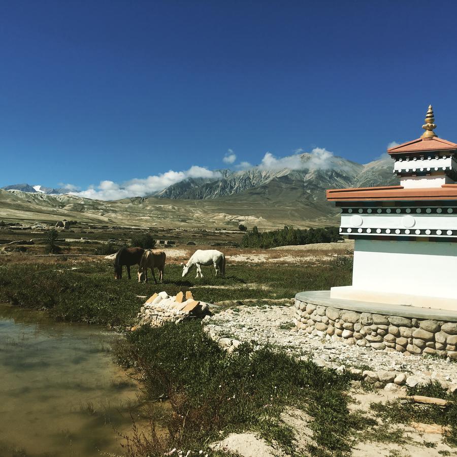 Royal Mustang Resort Nāmbo エクステリア 写真